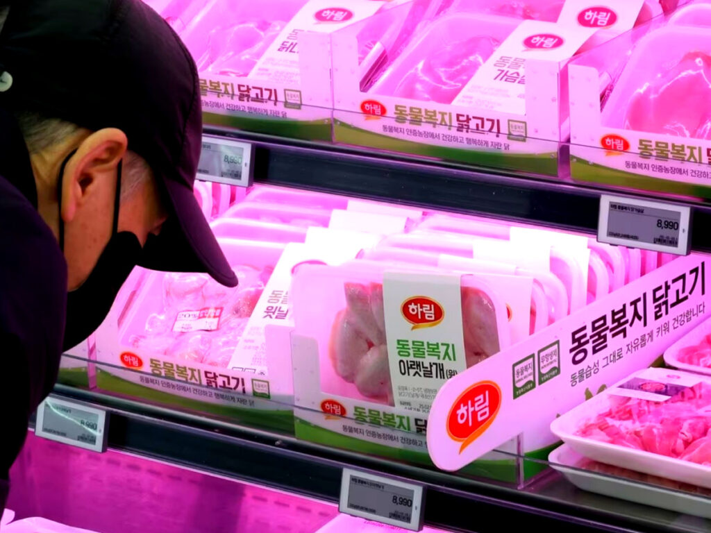 “치킨 못먹을 지도 모른다?”… ‘직격탄’ 맞은 상황에 ‘초비상’